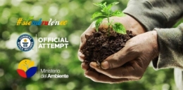 arbres,equateur,déforestation,reboisement,foret,amérique du sud