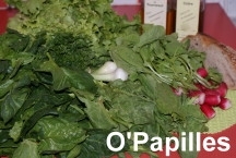 oignonsblancs-radis01.jpg