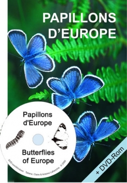 guide-papillons01.jpg
