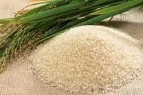 alimentation,planète,terre,population,afrique,calorie