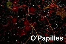 confiture-cassis-groseilles02.jpg