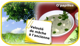 soupe02.png