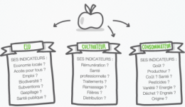 pommes,fruits,développement durable,santé
