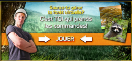 gestion-foret01.png