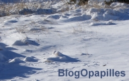 hiver-2011.jpg