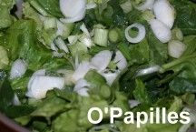 oignonsblancs-radis02.jpg
