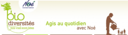 noe-bons-gestes01.png