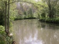 sortiesVO-marais-frocourt2.jpg