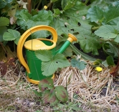 arrosage06.jpg