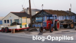huitre03.jpg