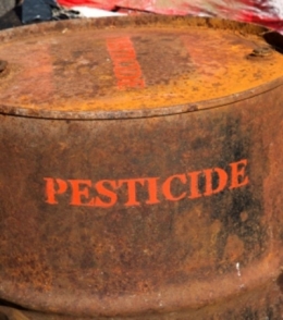 insecticides,herbicide,fongicide,roundup,monsanto,sciences,santé,cellules,jardinier,agriculture