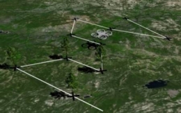 déforestation,foret,arbres,bois,environnement,drones