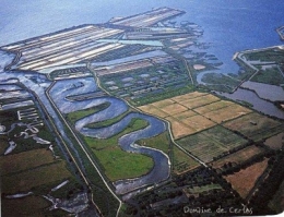 arcachon,bassin,poissons,pêche,écologie,marais