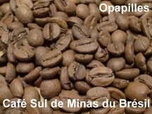 cafe-bresil.jpg