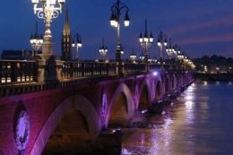garonne,bordeaux,fleuve,pollution,poissons,saumon,port,environnement