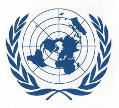 alimentation,onu,population,obésité,sucre,santé,graisse