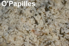 oseille-saumonfume-risotto03.jpg