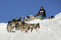 grandeodyssee2010-1.jpg
