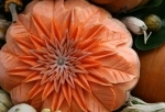 légumes 502a574c0fe629fbc9dbbdcc0bbc1f72.jpg