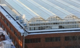 alimentation,bâtiment,environnement,planète,canada,jardin