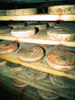 fromage-laitcru2.png