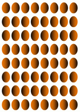 efeaa616330e46e77bd8429b43145a66.gif