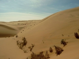 cachemire-desert-gobi.jpg