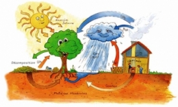 chauffage,bois,énergies renouvelables,co2,pollution,canada