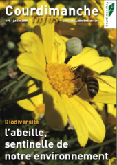 abeille-courdimanche.png