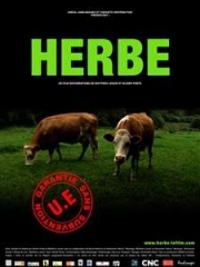 herbe-lefilm-affiche.jpg