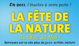 oiseaux, jardin, jardins, jardiner bio, écologie