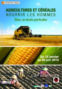 alimentation,mais,blé,céréales,agriculture,semences,planète,sciences