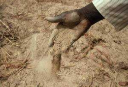 sols,érosion,biodiversité,écosystème,agriculture,agriculture intensive,histoire