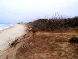 plage,mer,océan,gironde,estuaire,érosion