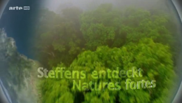 nature,documentaire,arte,groenland,écologie,environnement,banquise