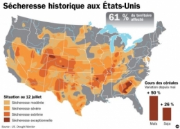 céréales,alimentation,population,onu,faim,environnement
