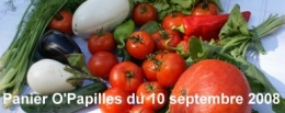 panier10sept08.jpg