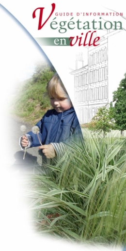 pollen,environnement,ville,pollution,végétalisation,santé