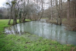 DSC_0046.JPG
