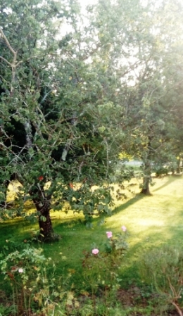parc maison.JPG