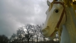 cheval WP_20160102_15_39_35_Pro (1).jpg