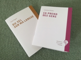 arles,médiathèque,espace van gogh,résidence d'écriture,luarence vilaine,paola pigani,du sel sur ma langue