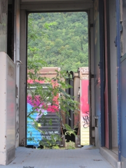 Train à feuilles.jpg