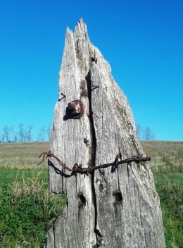 traverse de chemin de fer.jpg