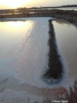 l'aube sur les salines.jpg