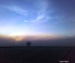 mon arbre d'hiver.jpg