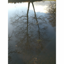instasize_230214082945.png