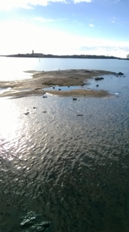 Rivage Baltique.jpg