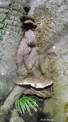 Mon arbre.jpg