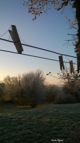 Fil d'hiver.jpg